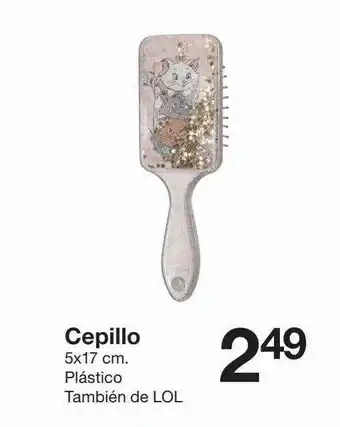 Zeeman Cepillo oferta
