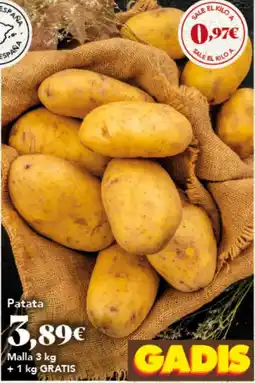 Gadis Gadis patata oferta
