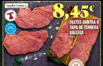 Gadis Filetes Contra O Tapa De Ternera Gallega oferta