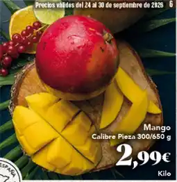 Gadis Mango oferta