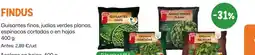 AhorraMas Findus guisantes finos judias verdes planas espinacas cortadas espinacas en hojas aceglas varitas de merluza oferta