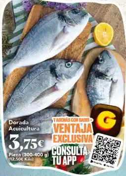 Gadis Dorada Acuicultura oferta