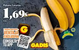 Gadis Google - platano canarias oferta