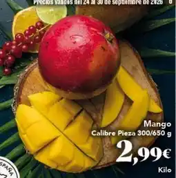 Gadis Mango - mango oferta