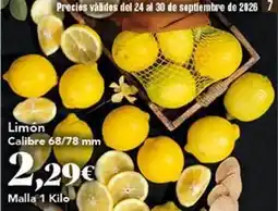 Gadis Limon oferta