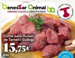 Gadis Gallega - carne para guisar de ternera oferta