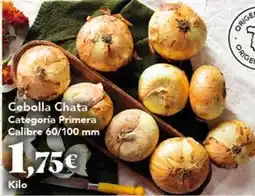 Gadis Cebolla chata oferta