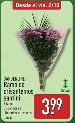 ALDI Gardenline - ramo de crisantemos santini oferta