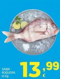 HiperDino Sama roquera oferta