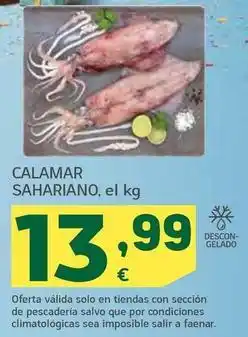 HiperDino Calamar sahariano oferta
