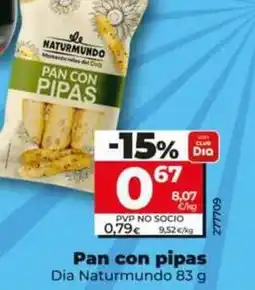 Dia Dia naturmundo - pan con pipas oferta