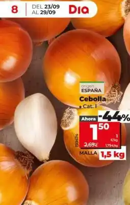 Dia Cebolla oferta