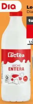 Dia Dia lactea - leche entera oferta