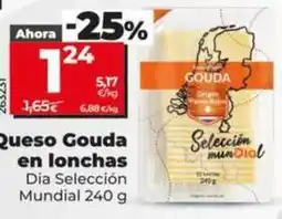 Dia Dia seleccion mundial - queso gouda en lonchas oferta