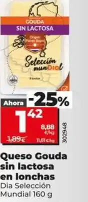Dia Dia seleccion mundial - queso gouda sin lactosa en lonchas oferta