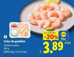 Lidl Gambon austral oferta