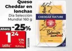 Dia Dia seleccion mundial - queso cheddar en lonchas oferta
