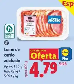 Lidl Lomo de cerdo adobado oferta