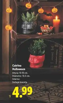 Lidl Catrina halloween oferta
