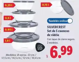 Lidl Silvercrest - set de 5 cuencos de vidrio oferta