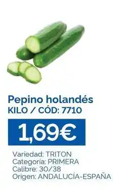 Dialsur Cash & Carry Origen - pepino holandés oferta