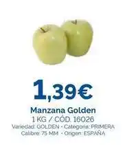 Dialsur Cash & Carry Origen - manzana golden oferta