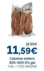 Dialsur Cash & Carry Calamar entero oferta