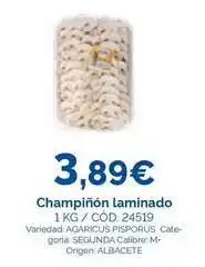 Dialsur Cash & Carry Origen - champiñón laminado oferta