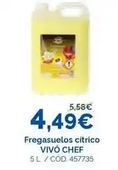Dialsur Cash & Carry Vivo cheff - fregasuelos citrico oferta