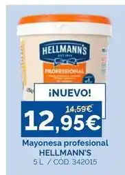 Dialsur Cash & Carry Hellmann's - mayonesa profesional oferta