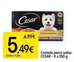 Dialprix Cesar comida perro salsa oferta