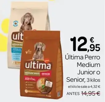 Ultima Perro Medium Junior o Senior