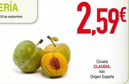 Masymas Ciruela CLAUDIA oferta