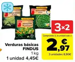 Carrefour Findus verduras basicas oferta