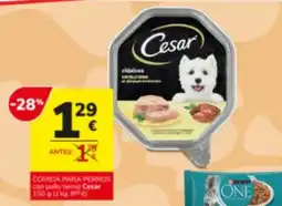 Consum Cesar comida para perros con pollo tierno oferta