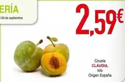 Masymas Origen - ciruela oferta