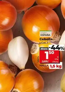 Dia Cebolla oferta