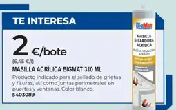 BigMat BigMat masilla acrílica oferta
