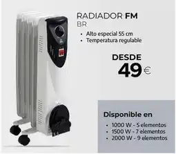 Tien 21 Fm - radiador oferta