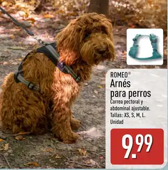 Romeo arnés para perros