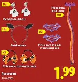 Lidl Accesorios oferta