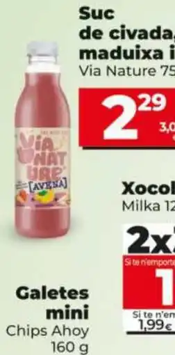 Maxi Dia Via Nature suc de civada maduixa i avena oferta