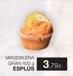 Plusfresc esplús magdalena oferta