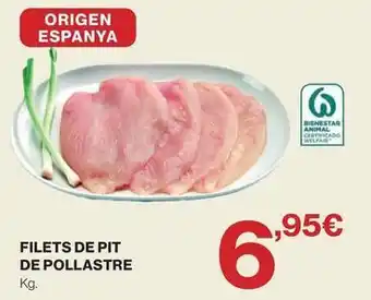 Origen - filets de pit de pollastre