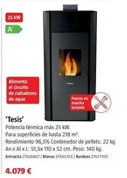 Bauhaus Eider biomasa - teiris oferta