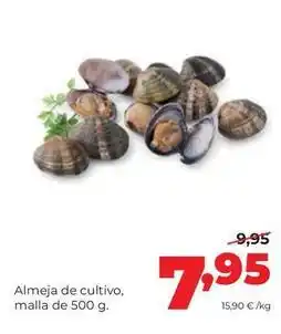 Alimerka Almeja de cultivo oferta
