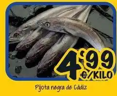 Pijota negra de cadiz