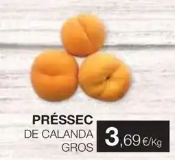 Plusfresc Préssec de calanda gros oferta