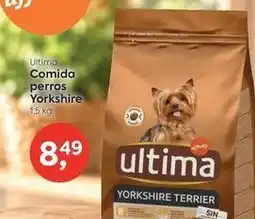 Suma Supermercados Última - comida perros oferta
