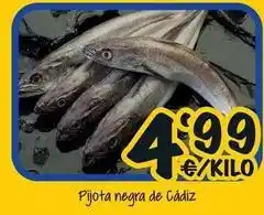 Cash Fresh Pijota negra de cadiz oferta